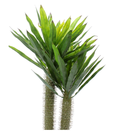 Pachypodium artificiel