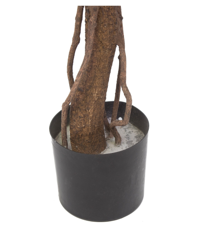 Pot