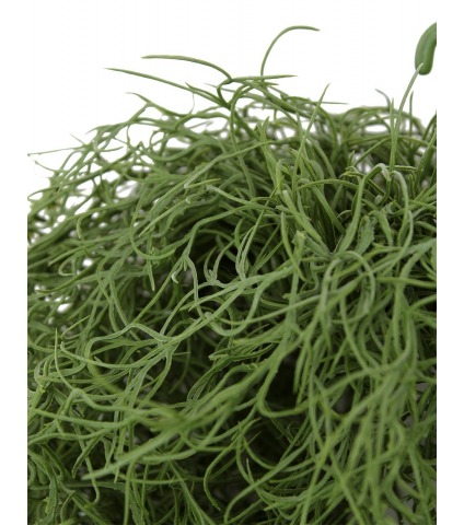 Chute de tillandsie artificielle