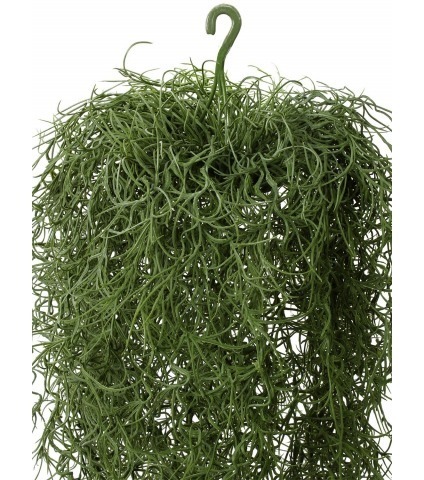 Chute de tillandsie artificielle