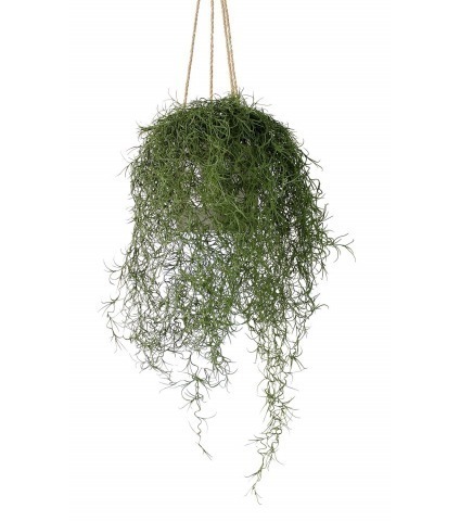 Chute de tillandsie artificielle