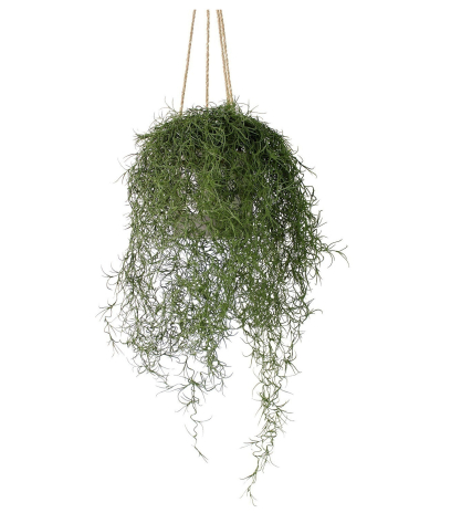 Chute de tillandsie artificielle