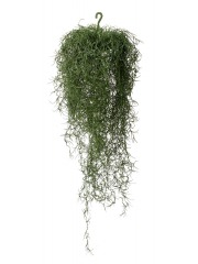 Chute de tillandsie artificielle