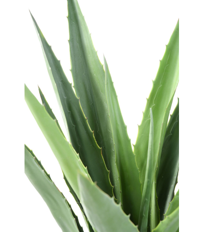Agave furcrae artificiel vert