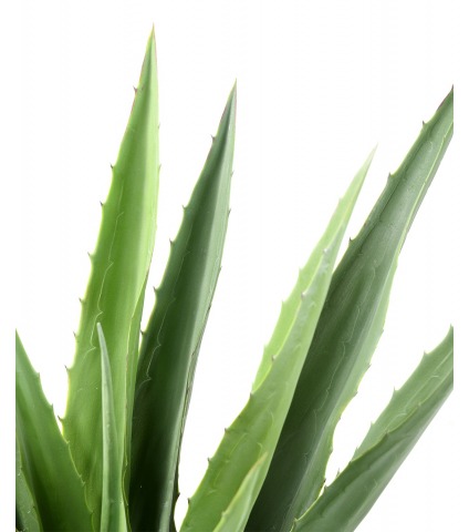 Agave furcrae artificiel vert