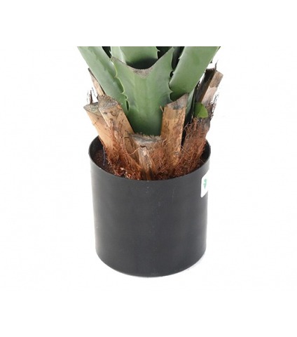Pot