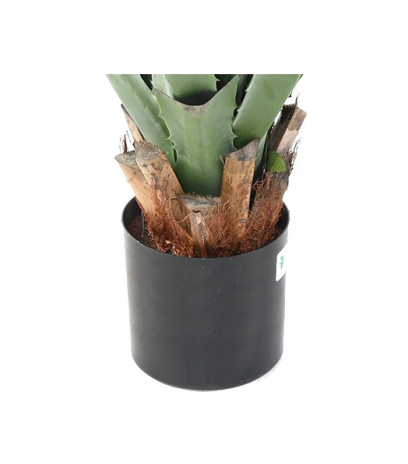 Pot