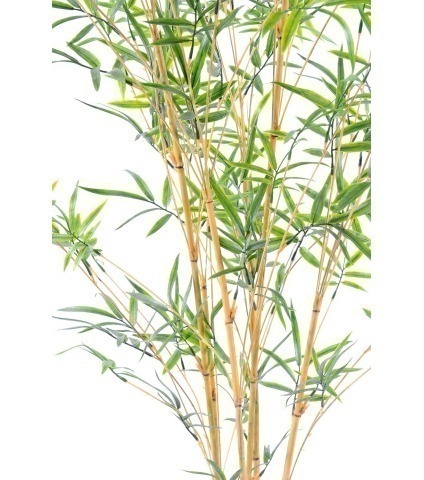 Faux bambou à branches fines