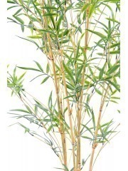 Faux bambou à branches fines