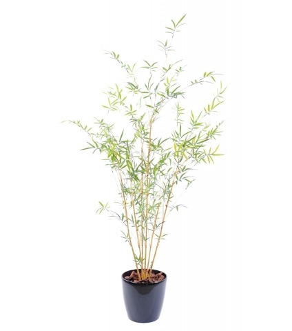 Faux bambou à branches fines