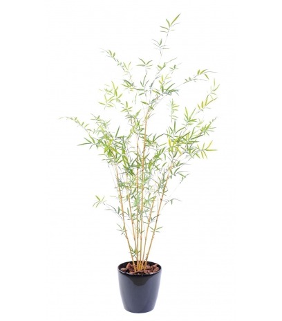 Faux bambou à branches fines