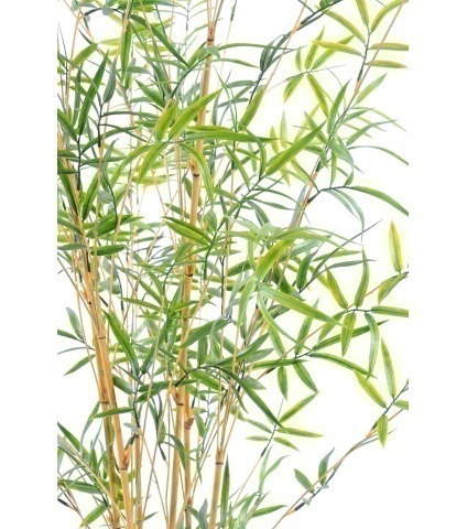 Faux bambou à branches fines