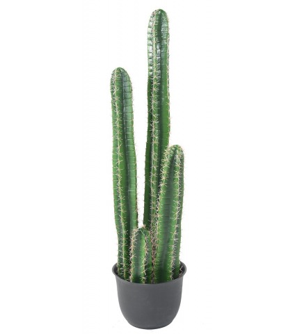 Cactus cierge artificiel
