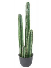 Cactus cierge artificiel