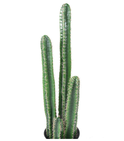 Cactus cierge artificiel