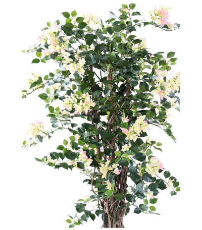 Bougainvillier artificiel blanc rose
