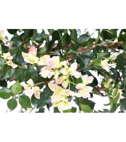 Bougainvillier artificiel blanc rose