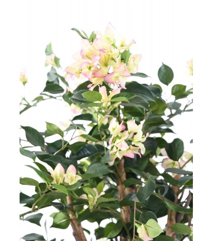 Bougainvillier artificiel blanc rose