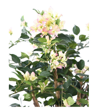 Bougainvillier artificiel blanc rose