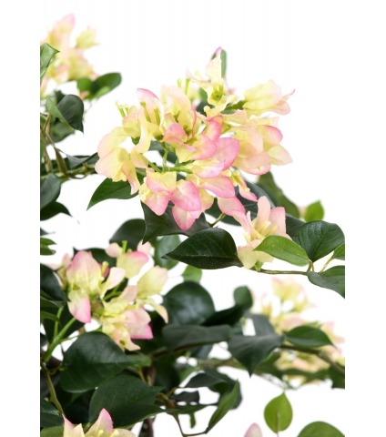 Bougainvillier artificiel blanc rose