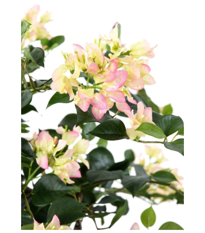 Bougainvillier artificiel blanc rose