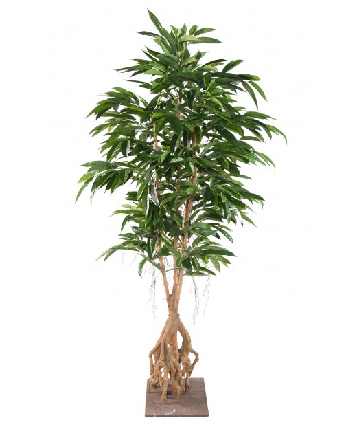 Ficus artificiel longifolia