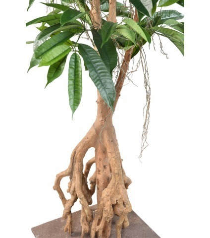Ficus artificiel longifolia