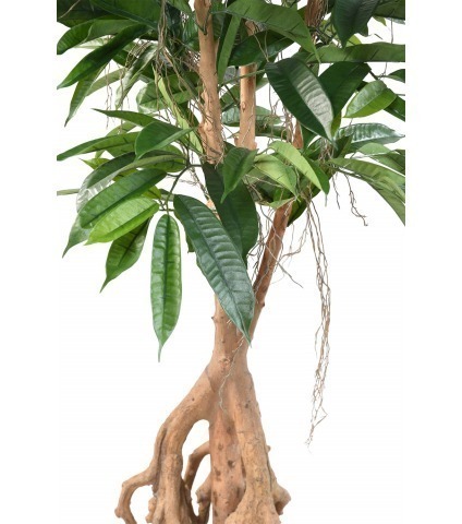 Ficus artificiel longifolia