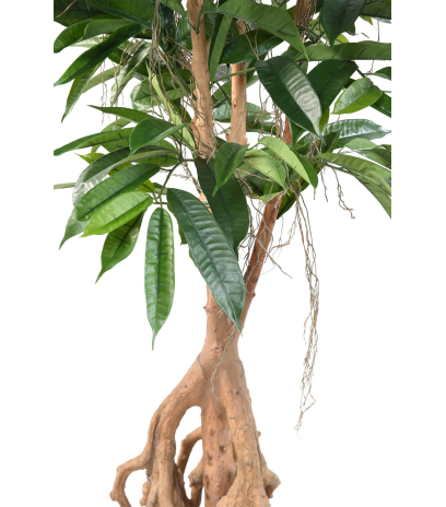 Ficus artificiel longifolia