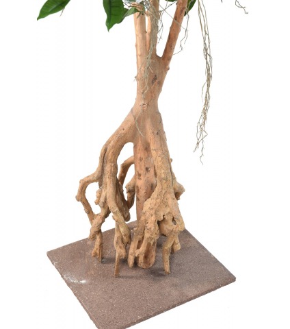 Ficus artificiel longifolia