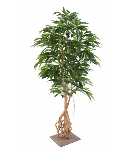 Ficus artificiel longifolia