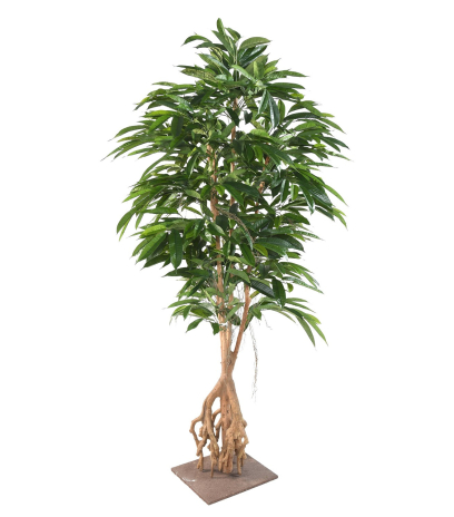 Ficus artificiel longifolia