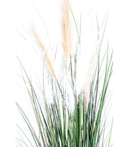 Herbe de la pampa artificielle