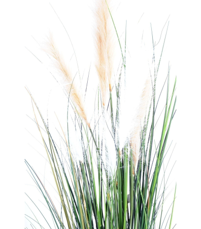 Herbe de la pampa artificielle