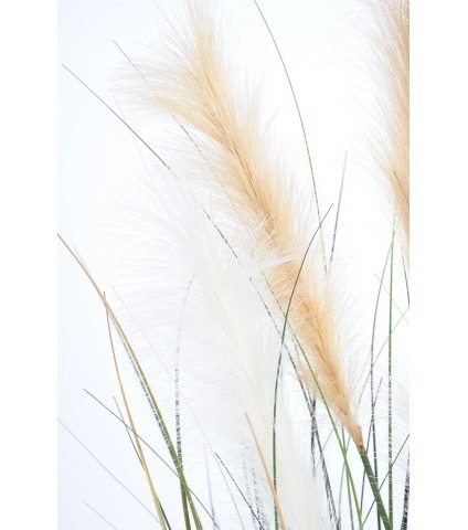 Herbe de la pampa artificielle