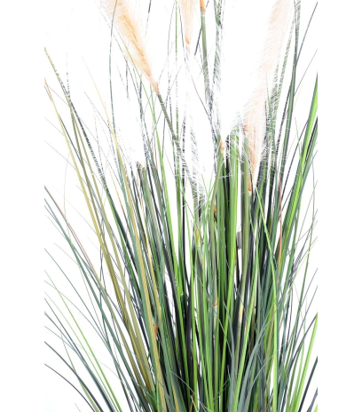 Herbe de la pampa artificielle