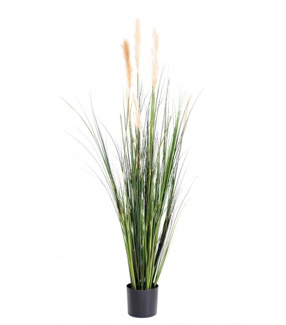 Herbe de la pampa artificielle