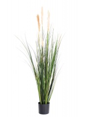 Herbe de la pampa artificielle