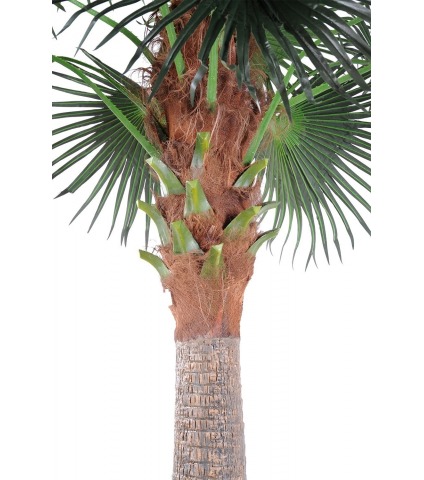 Palmier artificiel chusan géant