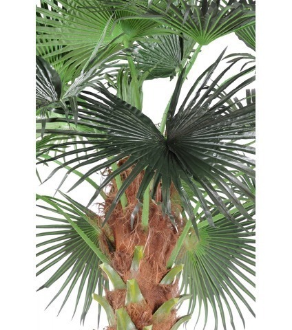 Palmier artificiel chusan géant