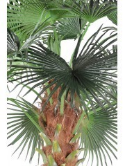 Palmier artificiel chusan géant