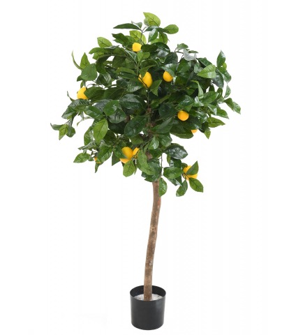 Citrus artificiel