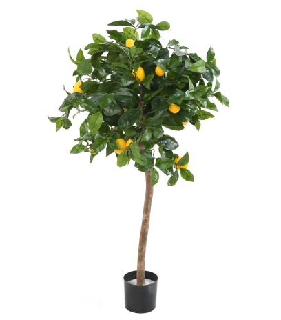 Citrus artificiel
