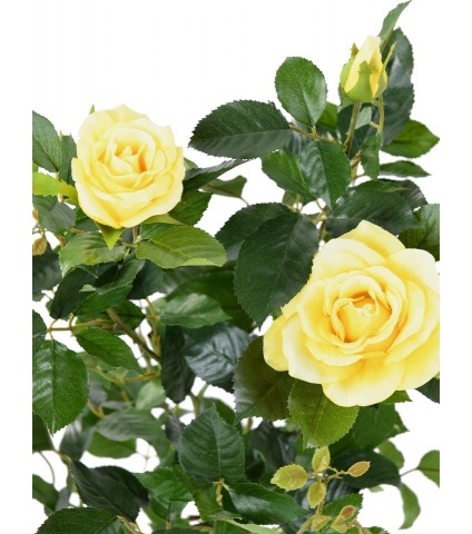 Rosier artificiel lady