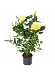 Rosier artificiel lady