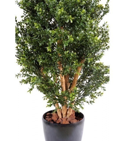 Buis artificiel rococo