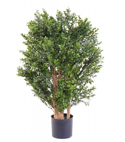 Buis artificiel rococo