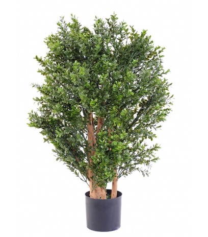 Buis artificiel rococo