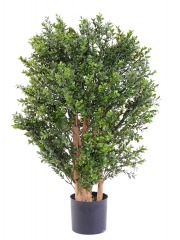 Buis artificiel rococo