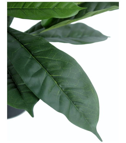 Ficus artificiel cyathistipula
